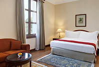 Luxury Suite with living room